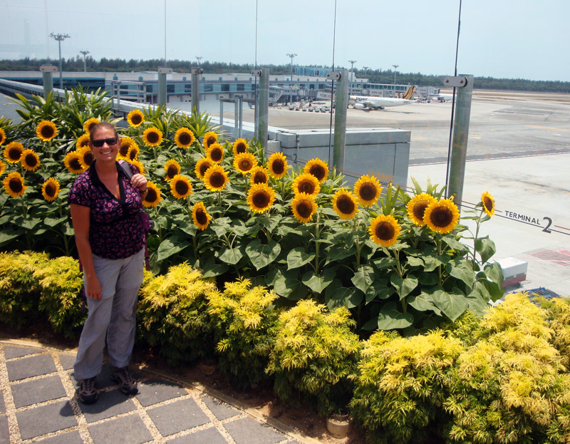 Image of Sunflowers at Singapore Airport