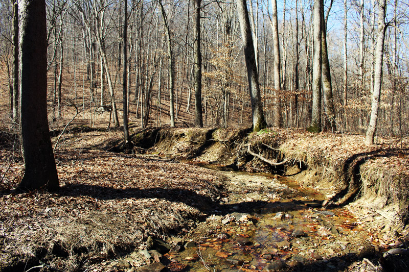 Image of Indiana Brown County State Park