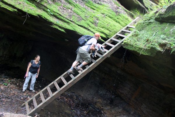 Image of James and Patty on ladder