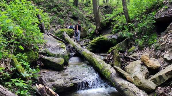 Image of Hiking in Shades State Park